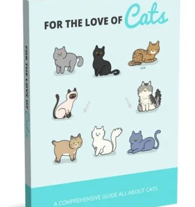 A Guide to Feline Care and Companionship